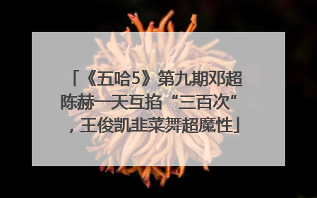 《五哈5》第九期邓超陈赫一天互掐“三百次”，王俊凯韭菜舞超魔性