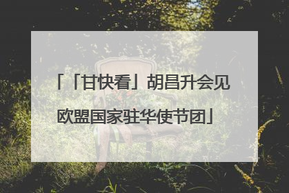 「甘快看」胡昌升会见欧盟国家驻华使节团