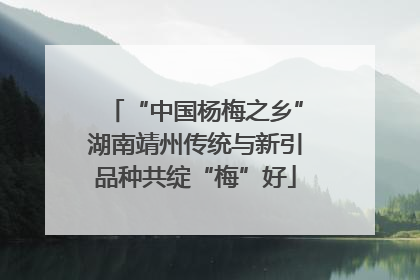 “中国杨梅之乡”湖南靖州传统与新引品种共绽“梅”好