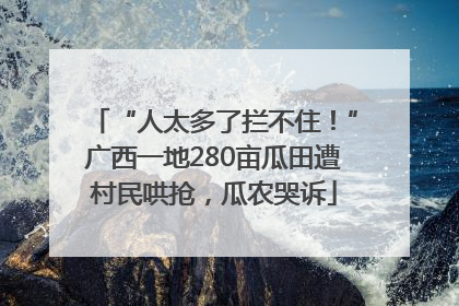 “人太多了拦不住！”广西一地280亩瓜田遭村民哄抢，瓜农哭诉