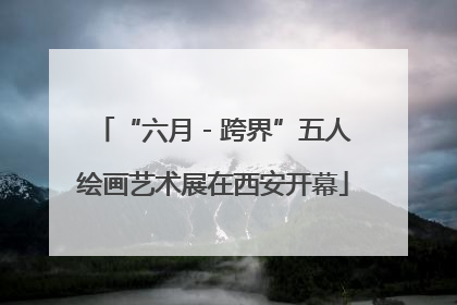 “六月 - 跨界”五人绘画艺术展在西安开幕