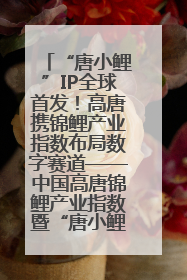 “唐小鲤”IP全球首发！高唐携锦鲤产业指数布局数字赛道——中国高唐锦鲤产业指数暨“唐小鲤”IP全球首发仪式在杭州举行