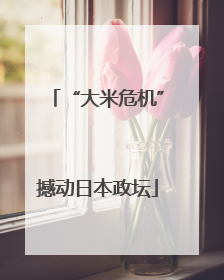 “大米危机”撼动日本政坛