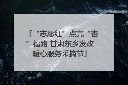 “志愿红”点亮“杏”福路 甘肃东乡发改暖心服务采摘节