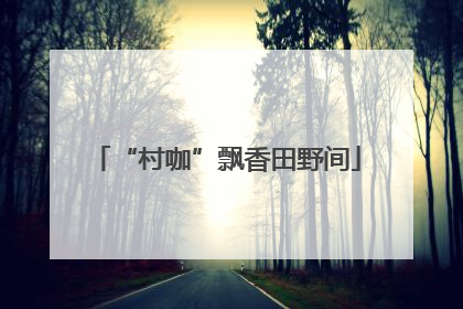 “村咖”飘香田野间
