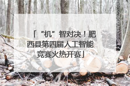“机”智对决！肥西县第四届人工智能竞赛火热开赛