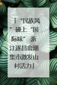 “民族风”碰上“国际味” 浙江遂昌畲潮集市激发山村活力