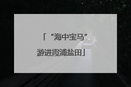 “海中宝马”游进霞浦盐田