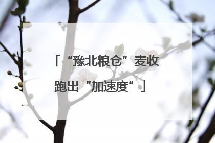 “豫北粮仓”麦收跑出“加速度”