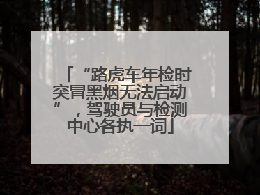“路虎车年检时突冒黑烟无法启动”，驾驶员与检测中心各执一词