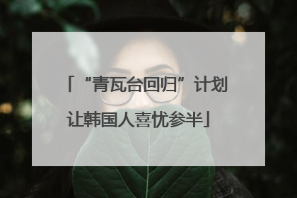 “青瓦台回归”计划让韩国人喜忧参半