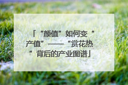 “颜值”如何变“产值”——“赏花热”背后的产业图谱