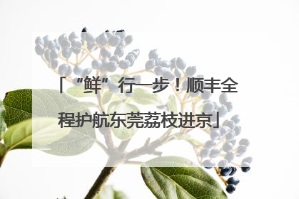 “鲜”行一步！顺丰全程护航东莞荔枝进京