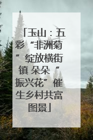 玉山：五彩“非洲菊”绽放横街镇 朵朵“振兴花”催生乡村共富图景