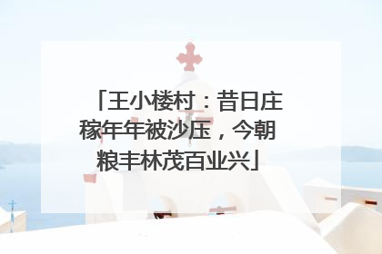 王小楼村：昔日庄稼年年被沙压，今朝粮丰林茂百业兴