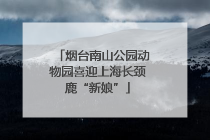 烟台南山公园动物园喜迎上海长颈鹿“新娘”