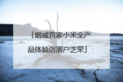 烟威首家小米全产品体验店落户芝罘