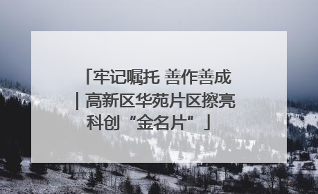 牢记嘱托 善作善成｜高新区华苑片区擦亮科创“金名片”