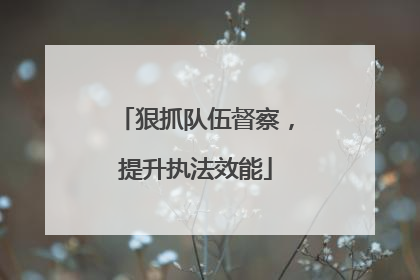 狠抓队伍督察，提升执法效能
