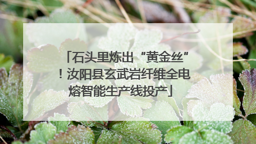 石头里炼出“黄金丝”！汝阳县玄武岩纤维全电熔智能生产线投产