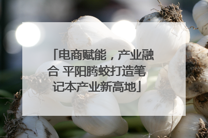 电商赋能，产业融合 平阳腾蛟打造笔记本产业新高地
