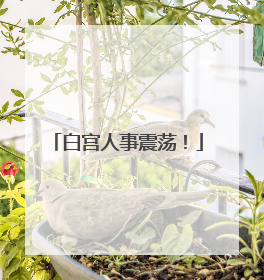 白宫人事震荡！