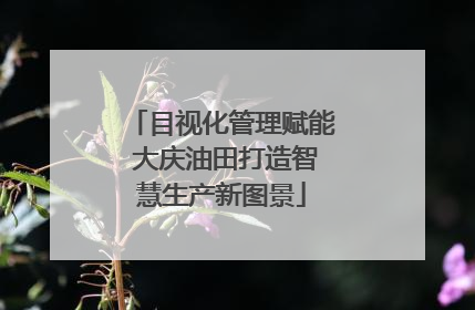 目视化管理赋能 大庆油田打造智慧生产新图景