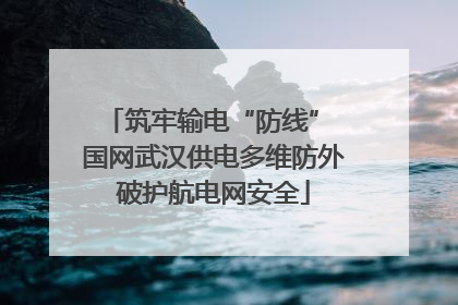 筑牢输电“防线” 国网武汉供电多维防外破护航电网安全