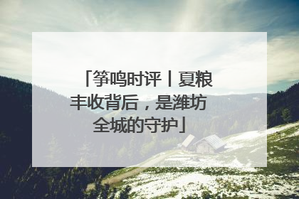 筝鸣时评丨夏粮丰收背后，是潍坊全城的守护