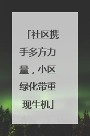 社区携手多方力量，小区绿化带重现生机