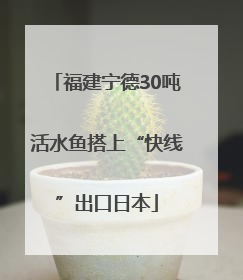 福建宁德30吨活水鱼搭上“快线”出口日本