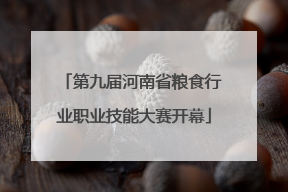 第九届河南省粮食行业职业技能大赛开幕