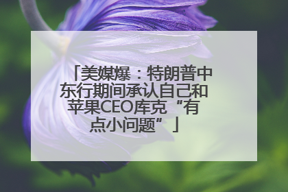 美媒爆：特朗普中东行期间承认自己和苹果CEO库克“有点小问题”