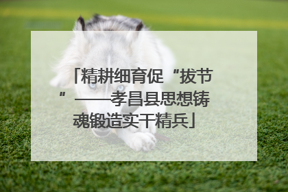 精耕细育促“拔节”——孝昌县思想铸魂锻造实干精兵