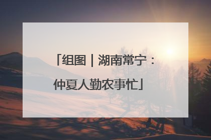 组图｜湖南常宁：仲夏人勤农事忙