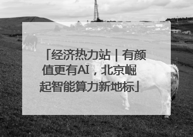 经济热力站｜有颜值更有AI，北京崛起智能算力新地标