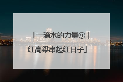 一滴水的力量⑨｜红高粱串起红日子