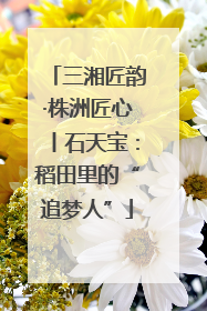三湘匠韵·株洲匠心丨石天宝：稻田里的“追梦人”
