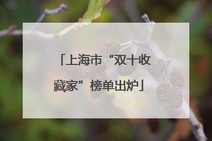上海市“双十收藏家”榜单出炉