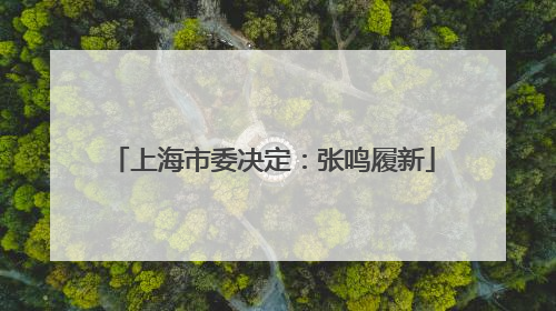 上海市委决定：张鸣履新