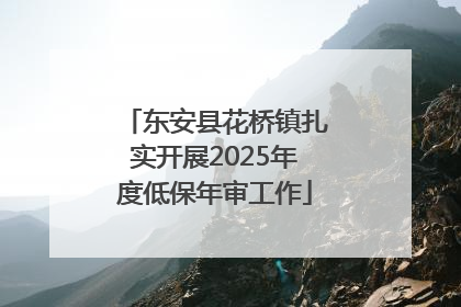 东安县花桥镇扎实开展2025年度低保年审工作