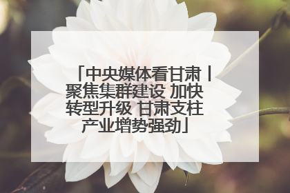 中央媒体看甘肃丨聚焦集群建设 加快转型升级 甘肃支柱产业增势强劲