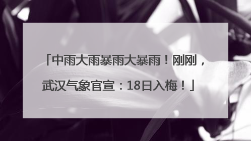 中雨大雨暴雨大暴雨！刚刚，武汉气象官宣：18日入梅！