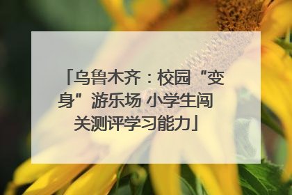 乌鲁木齐：校园“变身”游乐场 小学生闯关测评学习能力