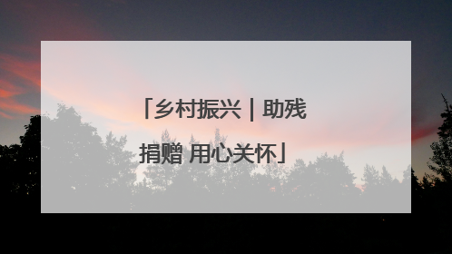 乡村振兴｜助残捐赠 用心关怀