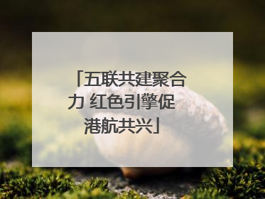 五联共建聚合力 红色引擎促港航共兴