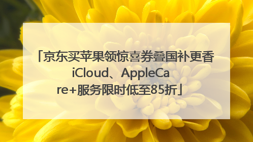京东买苹果领惊喜券叠国补更香 iCloud、AppleCare+服务限时低至85折
