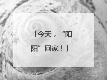 今天，“阳阳”回家！