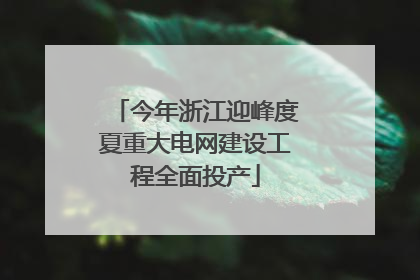 今年浙江迎峰度夏重大电网建设工程全面投产