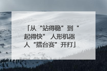 从“站得稳”到“起得快” 人形机器人“擂台赛”开打